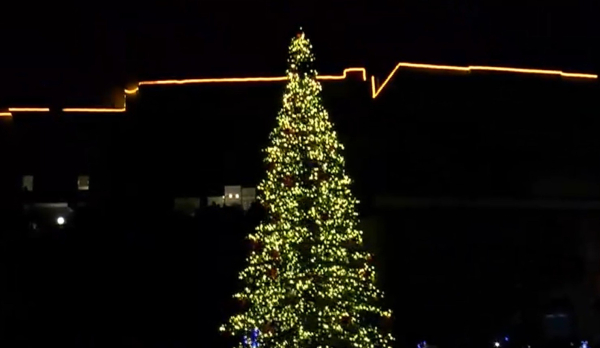 Χανιά: Το ενετικό λιμάνι «έλαμψε» - Η στιγμή της φωταγώγησης του χριστουγεννιάτικου δέντρου (Βίντεο)