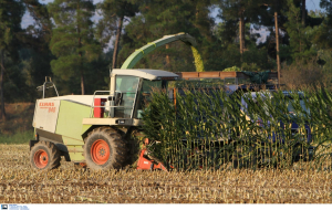 Ψηφιακά η ένταξη και απένταξη αγροτών στο ειδικό καθεστώς ΦΠΑ