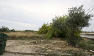 Καθαρισμός οικοπέδων: Εκπνέει η προθεσμία για τη δήλωση – «Τσουχτερά» πρόστιμα για τους παραβάτες