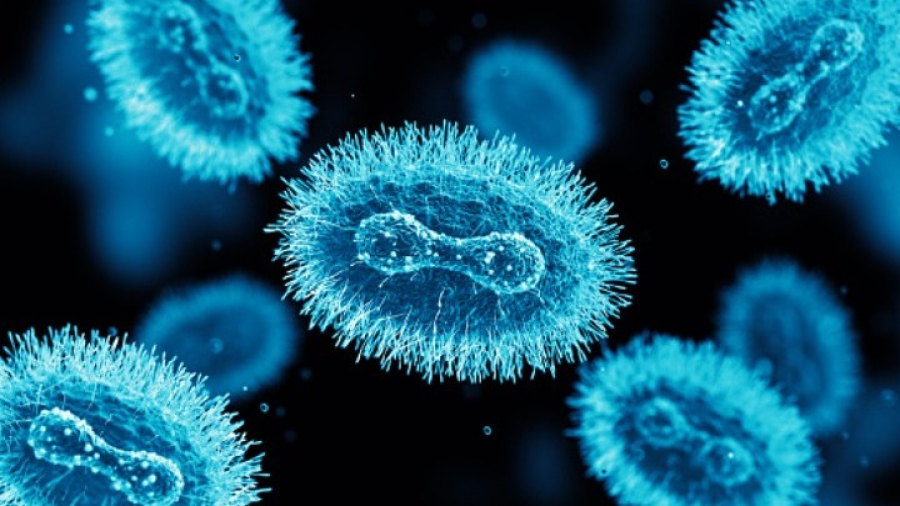 Η ευλογιά των πιθήκων μπορεί να προκαλέσει εγκεφαλίτιδα και επιληπτικές κρίσεις