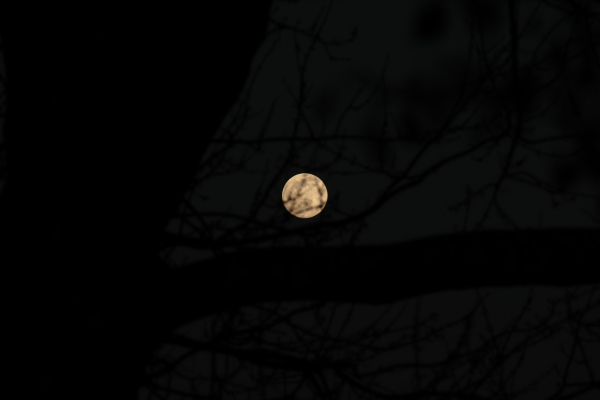 Έκλειψη Μαρτίου 2025: Έρχεται κακοτυχία για 3 ζώδια