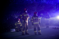 Φωτιές σε Ζάκυνθο και Μεσσηνία, κινητοποίηση της Πυροσβεστικής (βίντεο)