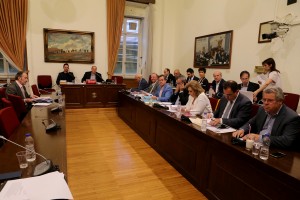 Με την εξέταση του Αλέξανδρου Πανεθυμιτάκη συνεχίστηκε η Εξεταστική για την Υγεία