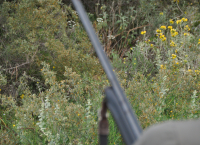 Νεκρός σε Κρητικό γλέντι σε μαντρί στο Καθαρό Λασιθίου