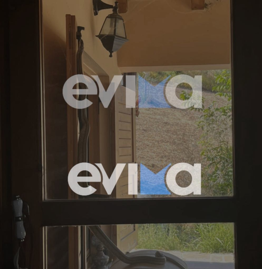 Εύβοια: Φίδι 1,5 μέτρου τρύπωσε σε παντζούρι και αναστάτωσε οικογένεια (εικόνες και βίντεο)