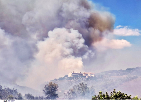 Η φωτιά στην Αργολίδα καίει κοντά σε σπίτια, προληπτική εκκένωση ξενοδοχείου, ενισχύονται οι πυροσβεστικές δυνάμεις (εικόνες)