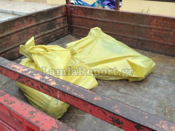 Λαμία: Αποτρόπαιο θέαμα από μαζική θανάτωση αδέσποτων σκύλων (pics+βίντεο)