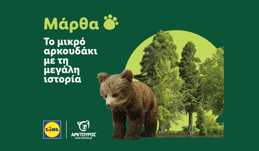 Η Lidl Ελλάς στήριξε την επιτυχή επανένταξη της Μάρθας στη φύση, σε συνεργασία με τον ΑΡΚΤΟΥΡΟ