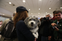 Οι εικόνες με κατοικίδια που επαναπατρίστηκαν συγκίνησαν τα διεθνή μέσα (Φωτογραφίες)