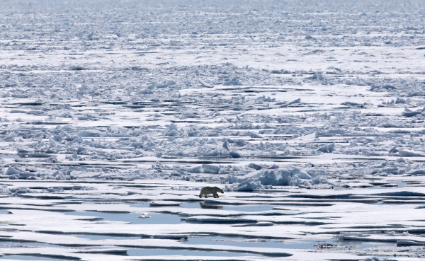Η Αρκτική «λιώνει»: Βίωσε το πιο ζεστό φθινόπωρο από το 1900