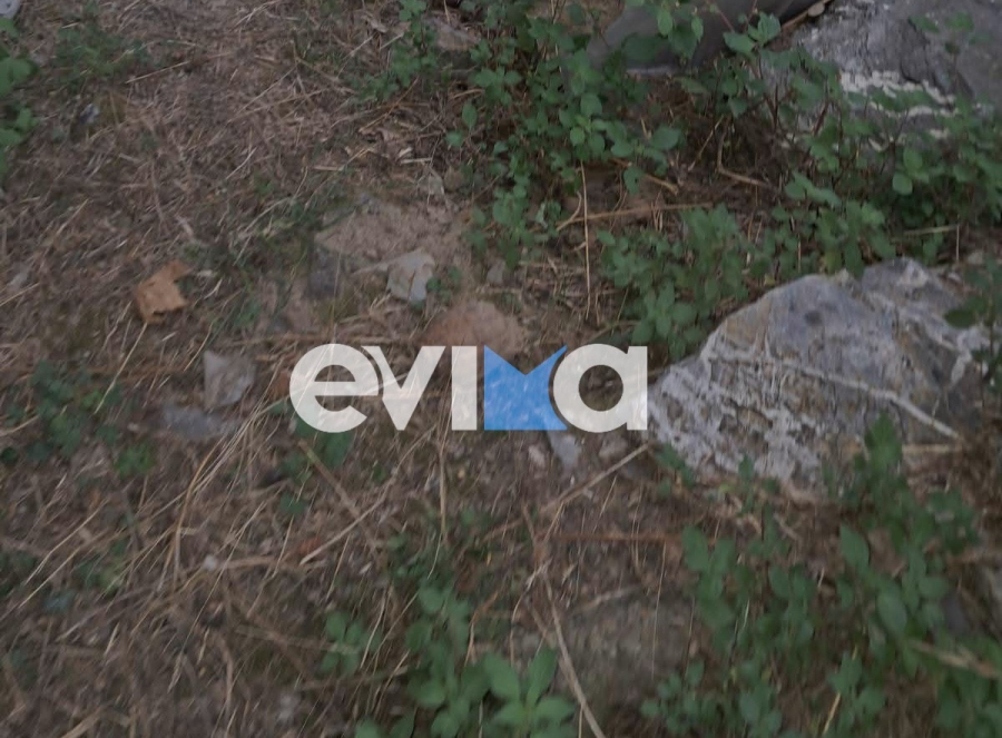 Εύβοια: Χειροβομβίδα του Β΄ Παγκοσμίου Πολέμου εντοπίστηκε σε παλιά αποθήκη