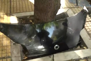 Παγκράτι: Η Φιλολάου έγινε πίστα καρτ - Χτύπησε 4 οχήματα και τούμπαρε το αμάξι του (Βίντεο)