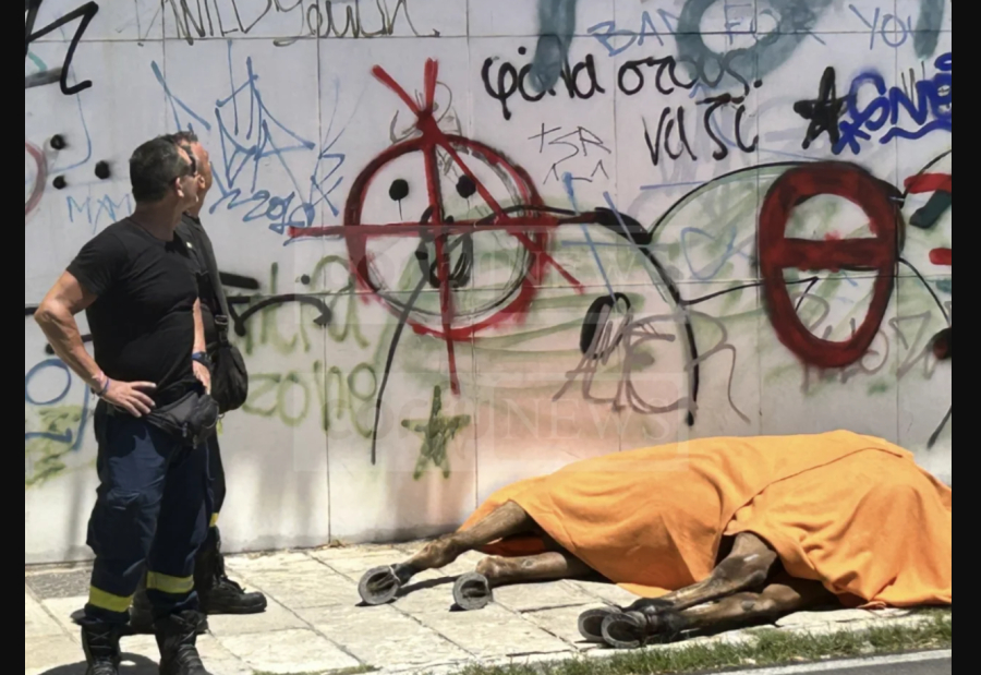 Εισαγγελική παρέμβαση για τον βασανιστικό θάνατο του αλόγου στην Κέρκυρα
