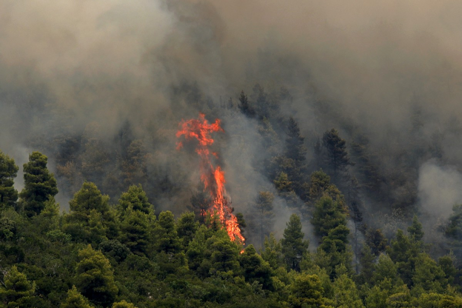 Γρεβενά: Αναζωπυρώσεις στο Καρπερό λόγω ενίσχυσης των ανέμων, εκκενώθηκαν τέσσερις οικισμοί (βίντεο)
