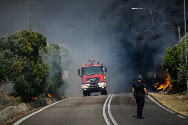 Φωτιές σε Δαδιά Έβρου, Κρέστενα Ηλείας και Λέσβο: Μαίνεται η μάχη με τις φλόγες, τιτάνιο το έργο των πυροσβεστών (βίντεο)
