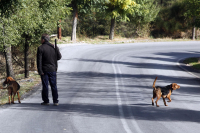 Ξεκινάει η νέα κυνηγετική περίοδος, το θήραμα που επιτρέπεται κατ' εξαίρεση για φέτος