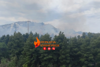 Φωτιά τώρα στο Άλσος Βεΐκου: Επιχειρούν δυο ελικόπτερα