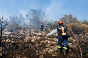 Οριοθετήθηκε η φωτιά στη Νέα Αρτάκη