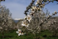 Τι ώρα η μεγάλη πληρωμή από τον ΟΠΕΚΕΠΕ σήμερα