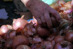 photo: Eurokinissi