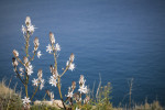 Photo: Eurokinissi