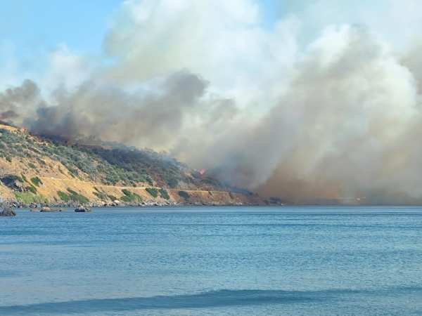 Φωτιά στη Λακωνία: Χωρίς ενεργό μέτωπο, μάχη των πυροσβεστών με τις αναζωπυρώσεις