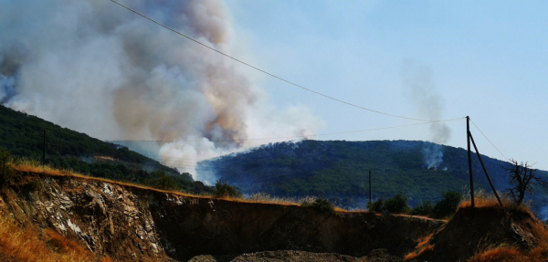 Φωτιά τώρα στη Θεσσαλονίκη - Ήχησε το 112