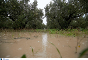 Νέο έκτακτο δελτίου καιρού ΕΜΥ για κακοκαιρία Daniel: Πότε υποχωρούν τα φαινόμενα