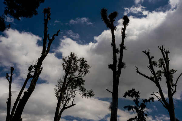 Σάκης Αρναούτογλου - Καιρός: Η αστάθεια θα παραμείνει για αρκετές ημέρες και τον Ιούλιο (βίντεο)