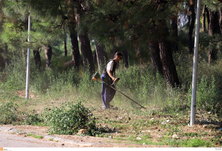 Καθαρισμός οικοπέδων: Οι υποχρεώσεις και τα πρόστιμα - Εδώ η αίτηση (Νέα ΚΥΑ)