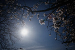 Photo: Eurokinissi