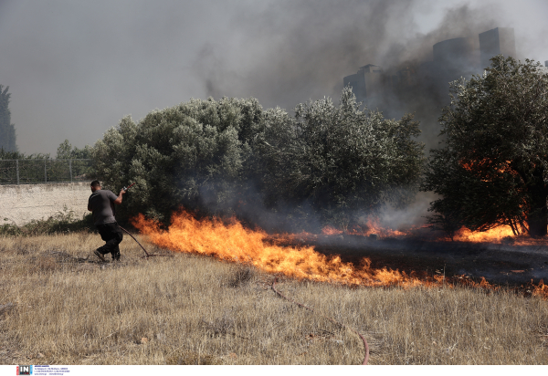 Αυτοδιοίκηση Σαρωνικού και Κερατέας: «Η καταστροφή είναι τεράστια, στείλτε εναέριες ενισχύσεις»