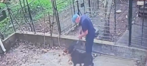 Καλαμάτα: Σε κρίσιμη κατάσταση ο 76χρονος - «Το σκυλί το είχαμε 10 χρόνια, δεν ξέρω τι έγινε», λέει ο γιος του