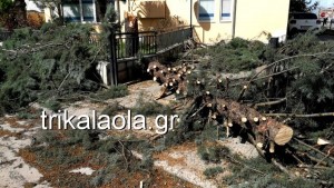 Σφοδρή ανεμοθύελλα στα Τρίκαλα - Ξεριζώθηκαν δέντρα και σκεπές (pics+vid)