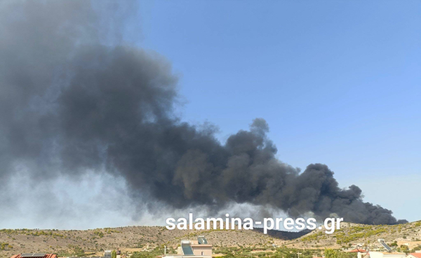 Φωτιά στη Σαλαμίνα