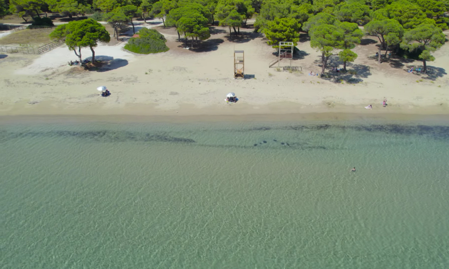 Τα τελευταία μπάνια της χρονιάς στην πιο αγαπημένη παραλία της Αττικής