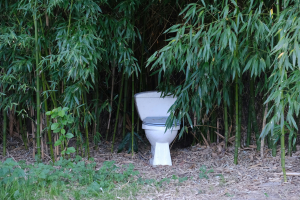 Γιατί πρέπει να κόψετε σήμερα κιόλας το κινητό στην τουαλέτα