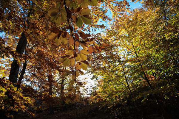 Πόσο ρεύμα καίει το κλιματιστικό ανά ώρα στο ζεστό