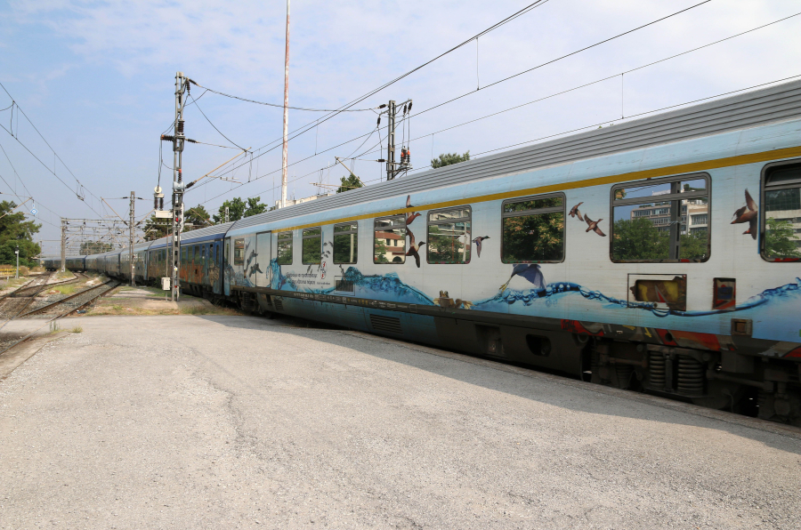 Άγιος Στέφανος: Ακινητοποιήθηκε τρένο, προσέκρουσε σε πεσμένο δέντρο