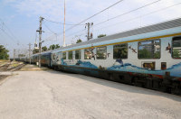 Άγιος Στέφανος: Ακινητοποιήθηκε τρένο, προσέκρουσε σε πεσμένο δέντρο