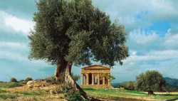 Ιταλική πόλη καλεί Gucci: Έχουμε και εμείς ελληνικούς ναούς...