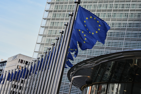 Έντεκα χώρες της ΕΕ ζητούν να μπει τέλος στα βέτο «που μπλοκάρουν» την εξωτερική πολιτική - «Ειδική πλειοψηφία αντί ομοφωνίας»