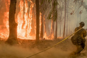 Περισσότερες από 100 πυρκαγιές στις ΗΠΑ